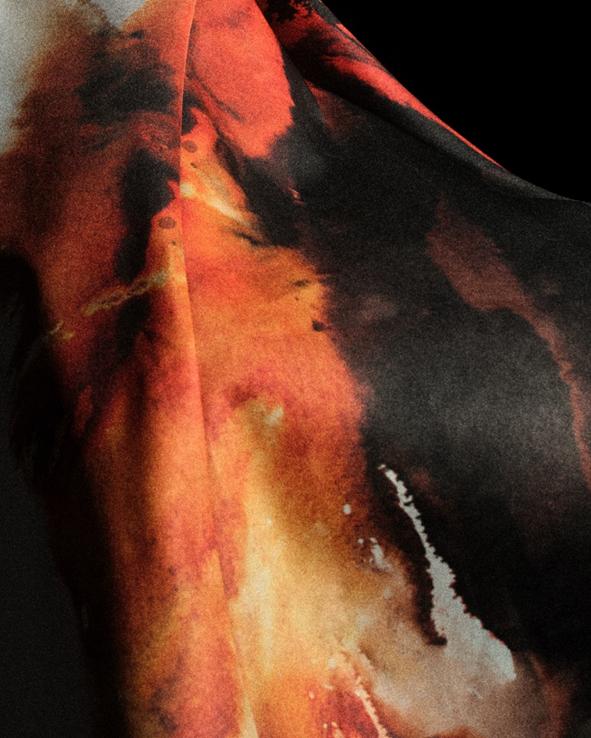 与梅德维德 与梅德维德