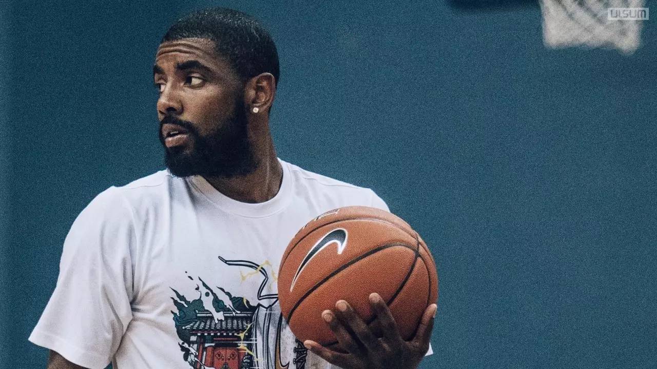 无疑为羽毛 无疑为羽毛